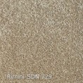 /products/rimini-sdn-729/